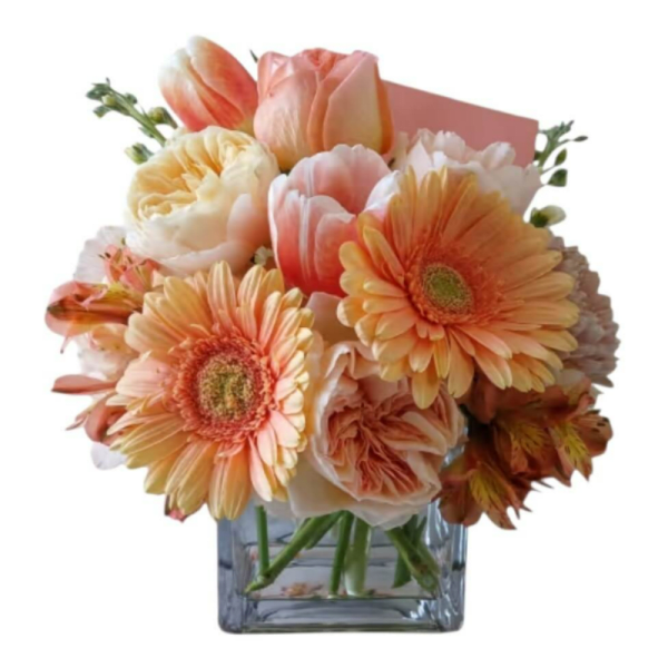 Peach and cream bouquet of gerbera daisies and tulips in a square glass vase