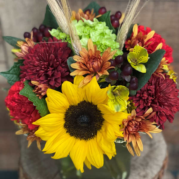 Burst of Fall
