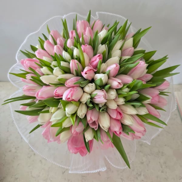 Bouquet of pink and white tulips wrapped in sheer white paper