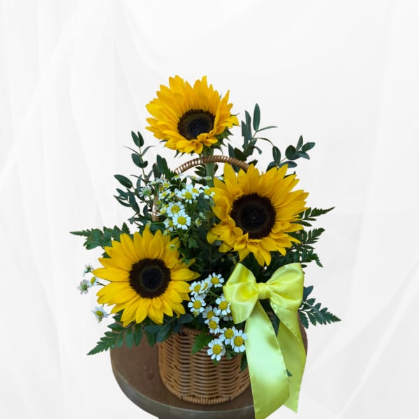 Sunflower arrangement in a wicker basket with a yellow ribbon