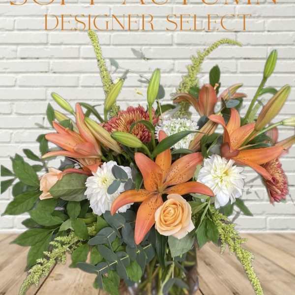 Soft Autumn Designer Select