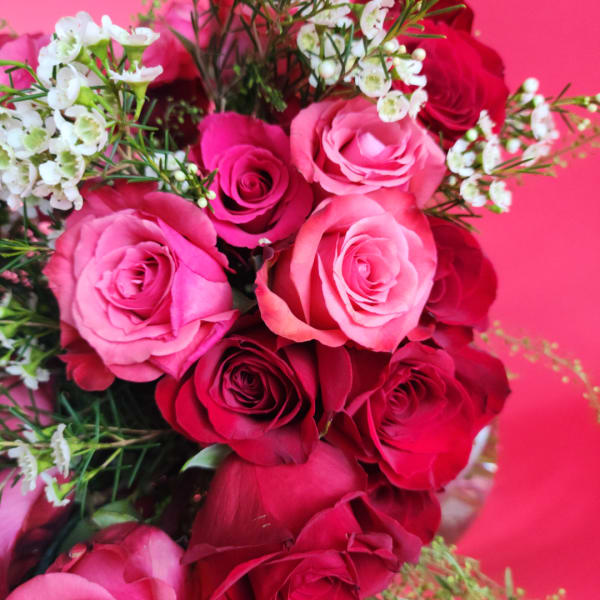 Bouquet of pink and red roses with small white filler flowers