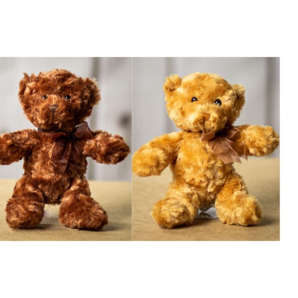 Two plush teddy bears with ribbon bows, one brown and one golden