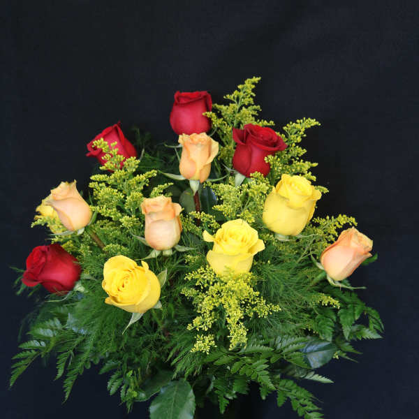 Autumn Roses