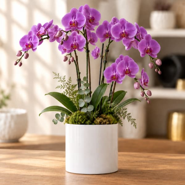 Purple orchids arranged in a white pot on a wooden table