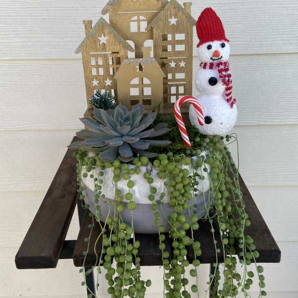 Succulent arrangement with a snowman and wooden house decorations