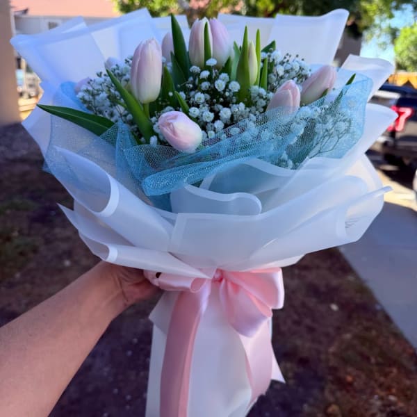 Handheld bouquet of pale pink tulips wrapped in white paper with a pink ribbon