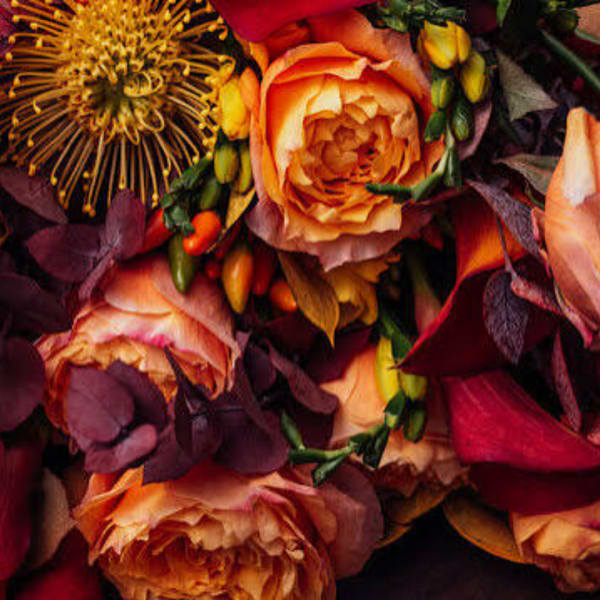 Close-up bouquet of orange and burgundy flowers