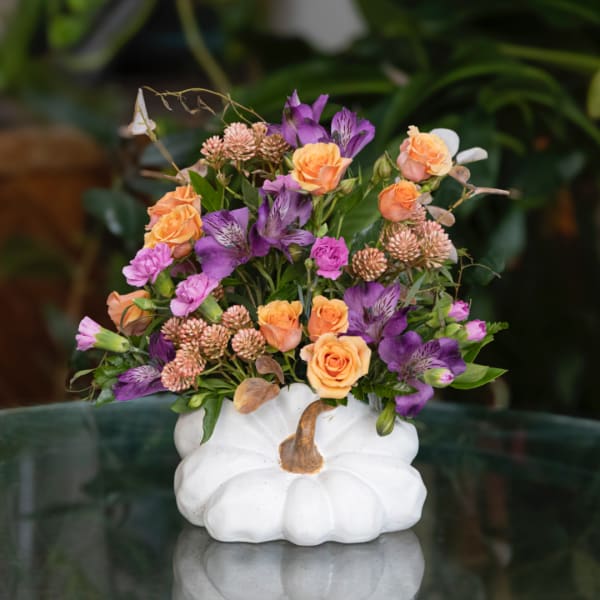 Orange and purple flower arrangement in a white pumpkin vase