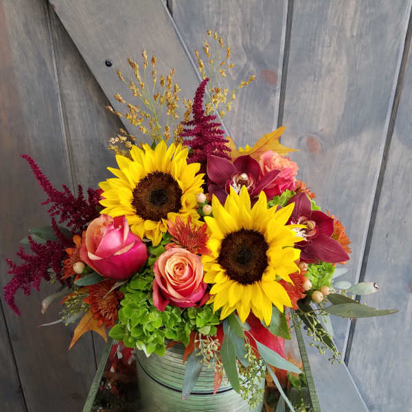 It's Fall Y'all!
