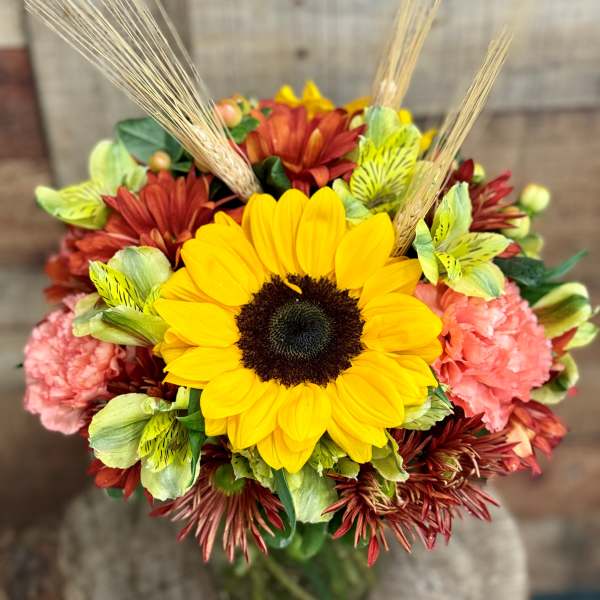 Autumn Splendor