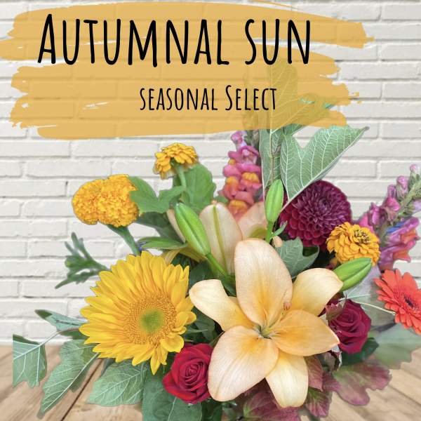 Autumnal Sun Designer Select