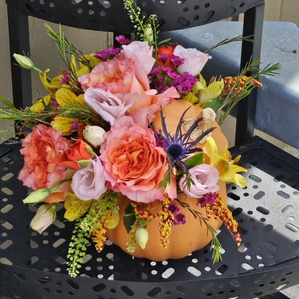 Autumn Festival