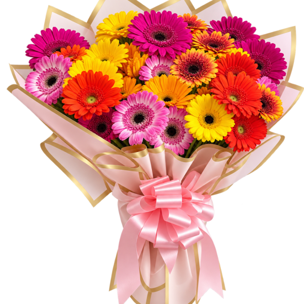 Bouquet of colorful gerbera daisies wrapped in pink paper with a ribbon