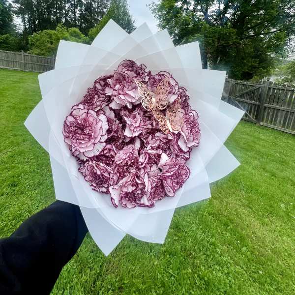 25 Count Carnation Ramos