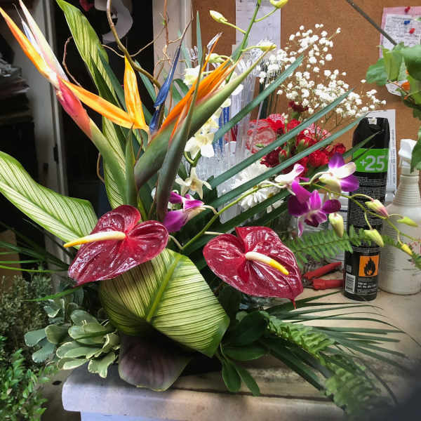 Tropical floral arrangement with bird of paradise and orchids