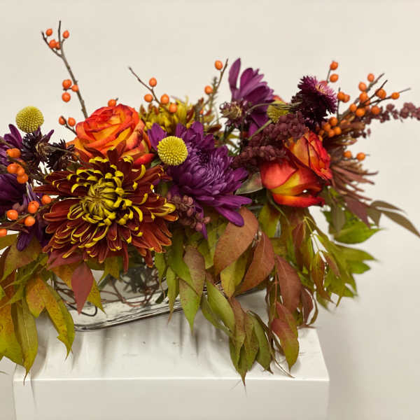 Feels like Fall