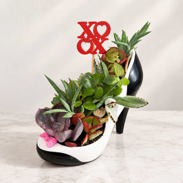 Succulent arrangement in a high-heel shoe planter with a red XO topper