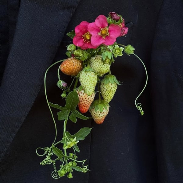 Pink flowers with hanging strawberry-like berries on a dark jacket