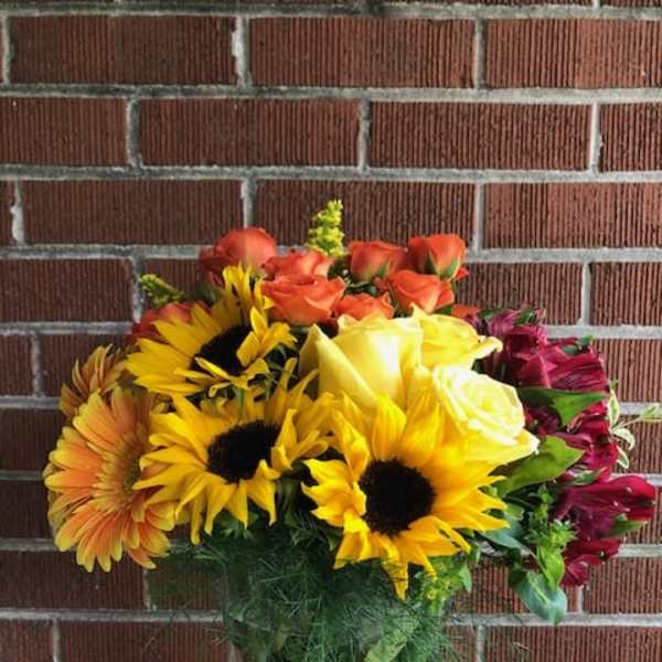 YOU ARE MY SUNSHINE