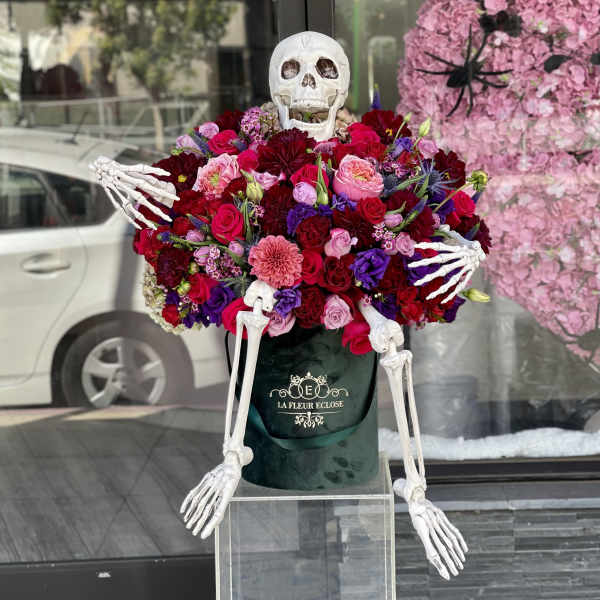 Mr.Skeleton