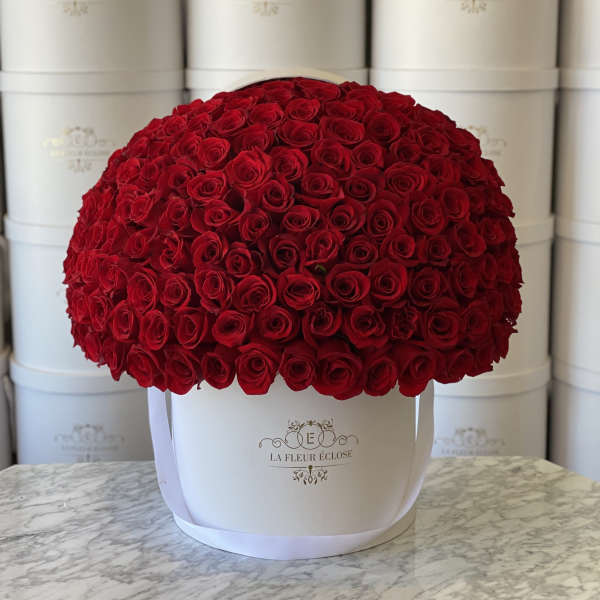 150 red roses