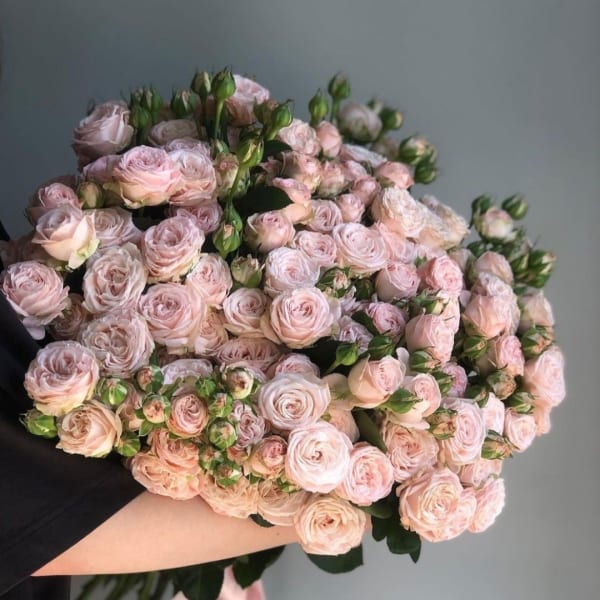 Bouquet of pale pink spray roses wrapped in peach paper