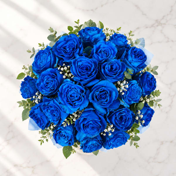Bouquet of vivid blue roses with small white filler flowers