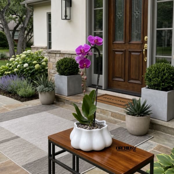 Purple orchid in a white decorative pot on a wooden bench