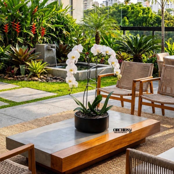 White orchid plant in a black pot on a low table outdoors