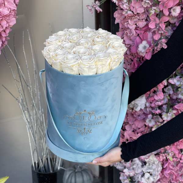 Preserved Jasmine