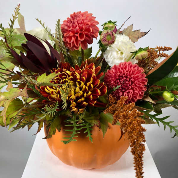 Pumpkin Spice