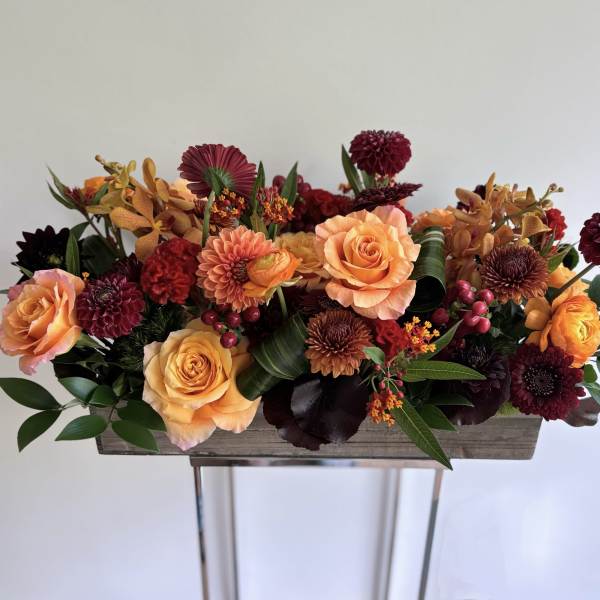 Autumn Highlight