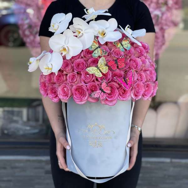 Beauty For You V