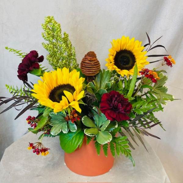 Sunflowers and burgundy carnations in a peach vase