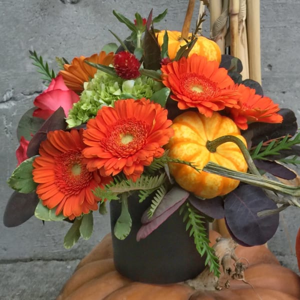 Orange gerbera daisies and pumpkins in a black container
