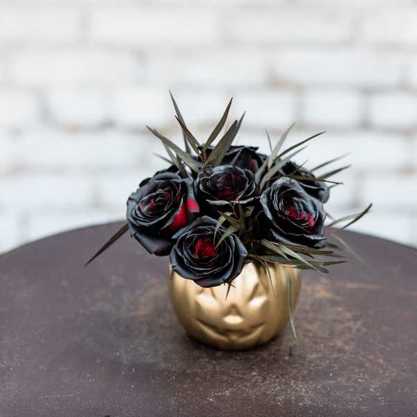 Noir Citrouilles