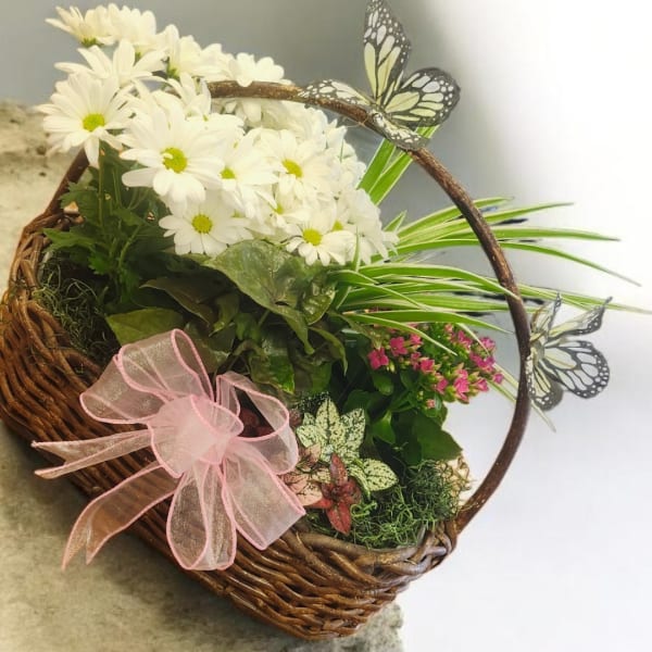 Basket of white daisies with pink flowers and a ribbon bow