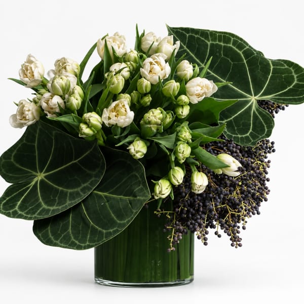 White tulips in a glass vase with large dark green leaves
