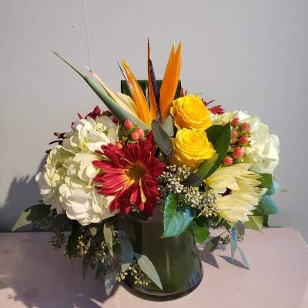 Autumn Paradise