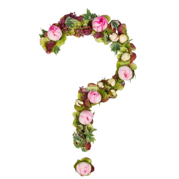Floral question mark made of pink and cream blossoms with green leaves