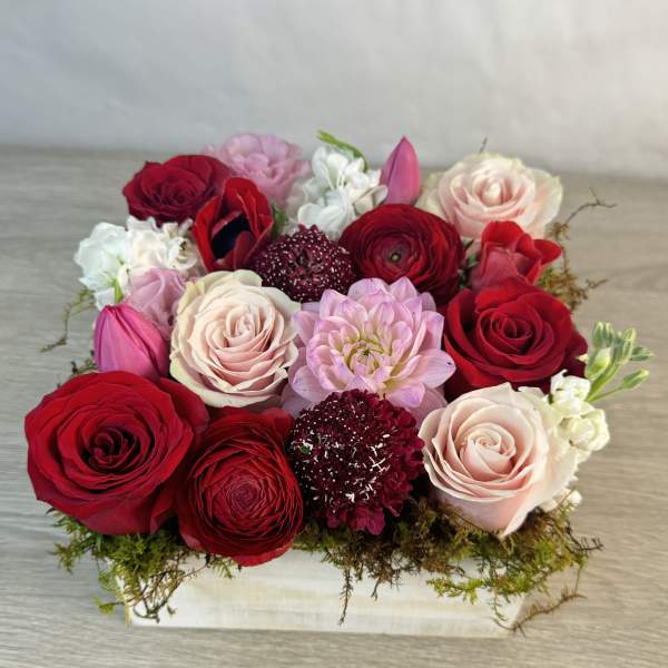 Compact bouquet of red, blush, and pink roses with mixed blooms