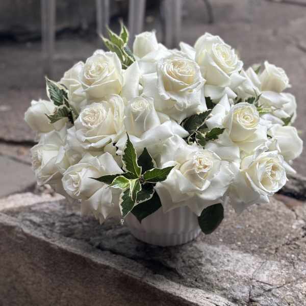 Elegance: White roses