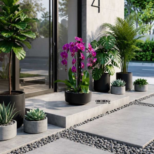 Potted orchids and succulents arranged outside a modern building