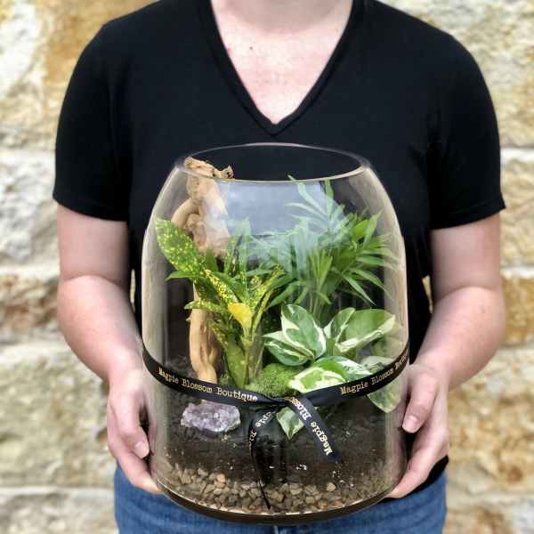 Jungle Terrarium