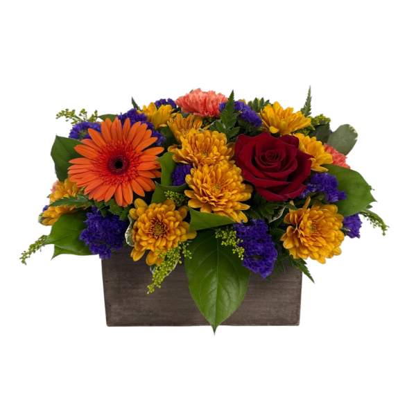 FALL EMBER