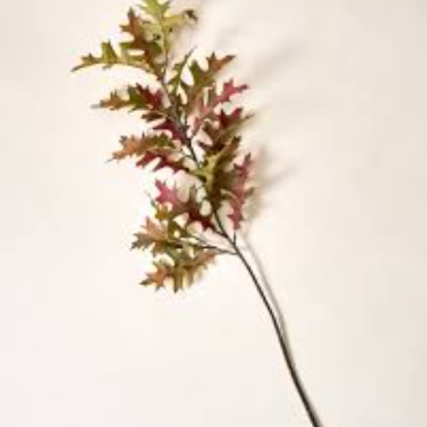 Single stem with small autumn-colored leaves on a plain background