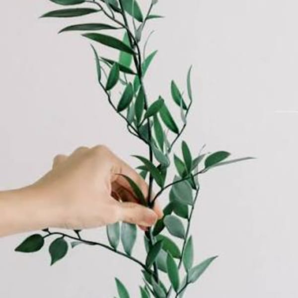 Hand holding a leafy green stem against a plain background