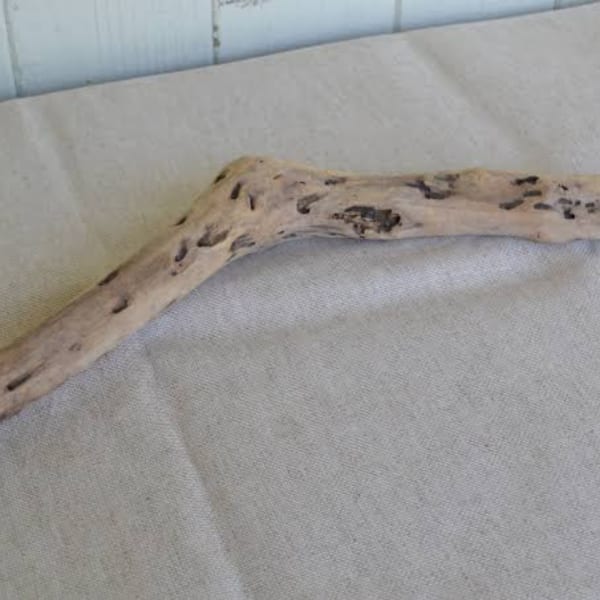 Driftwood branch resting on a light gray upholstered surface