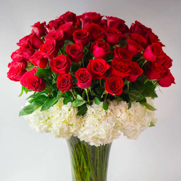 Red roses arranged above white hydrangeas in a clear glass vase